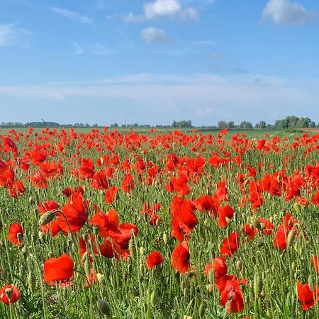 Ferienwohnungen Klein Kapelle Gingst Zewnętrze zdjęcie