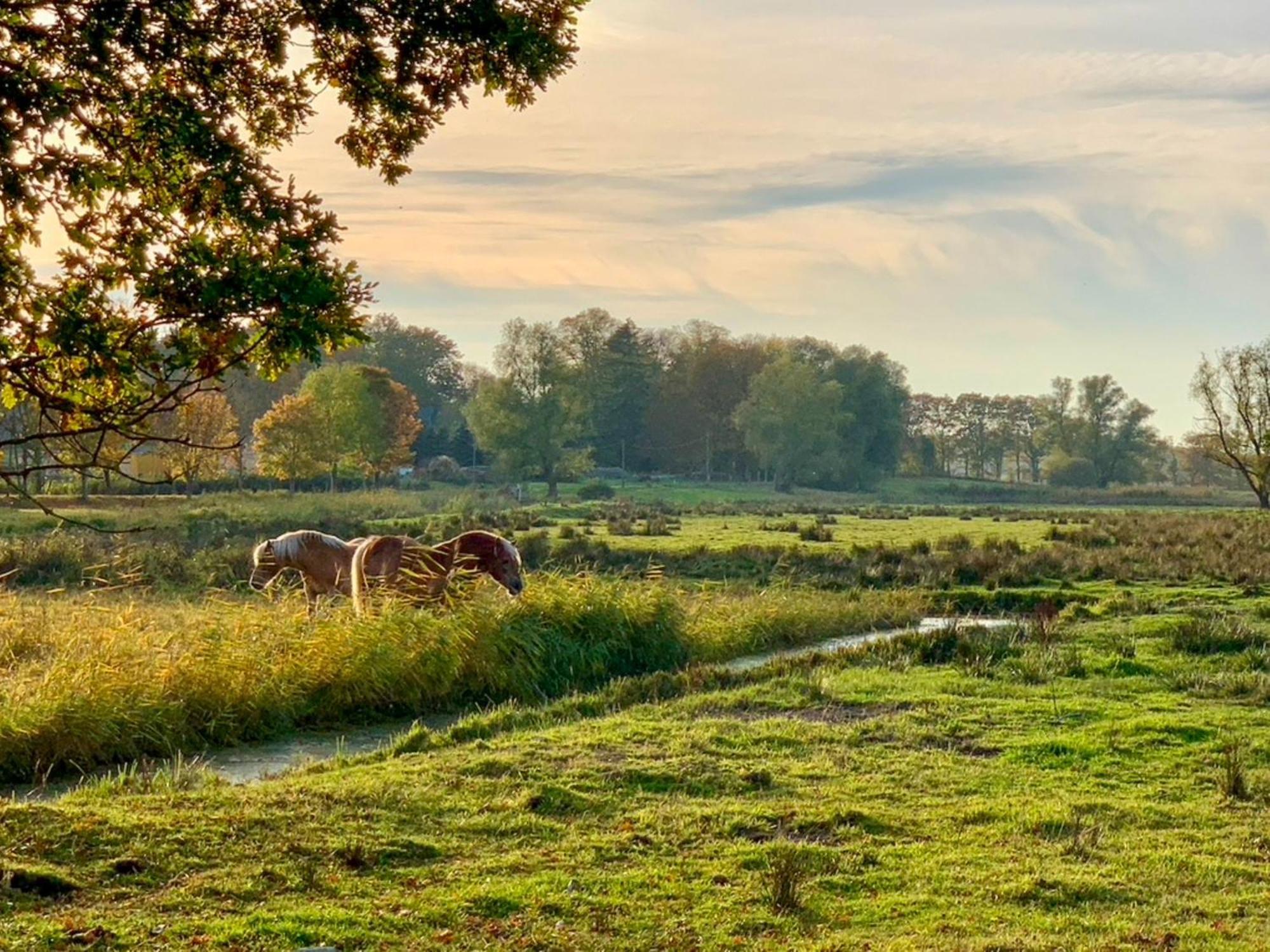 Ferienwohnungen Klein Kapelle Gingst Zewnętrze zdjęcie